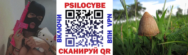 Галлюциногенные грибы мицелий  Шлиссельбург 
